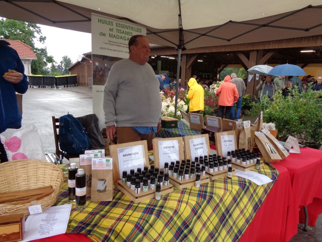 6 Marche d ete bluet plantes miel escargot (14) (Small)