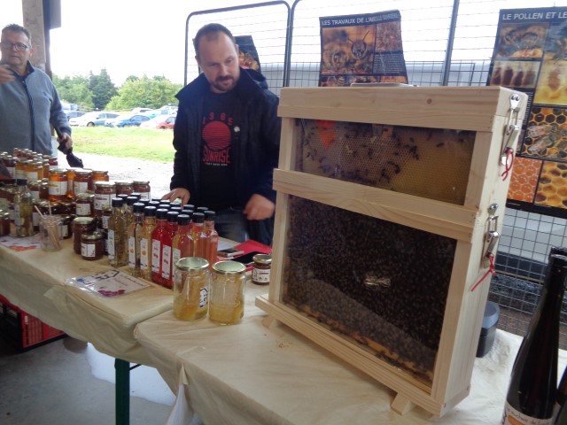 6 Marche d ete bluet plantes miel escargot (19) (Small)