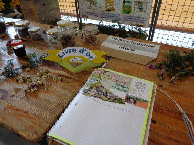 6 Marche d ete bluet plantes miel escargot (29) (Small)