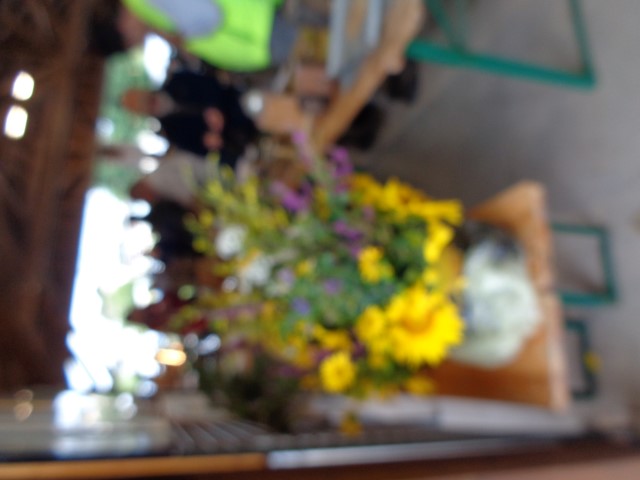 6 Marche d ete bluet plantes miel escargot (37) (Small)