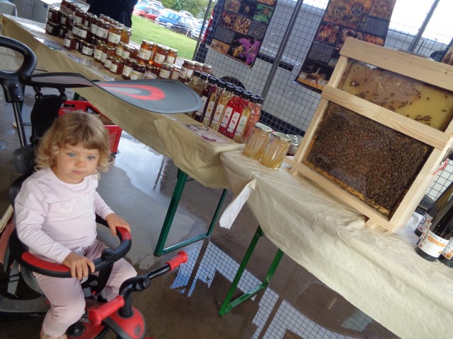 6 Marche d ete bluet plantes miel escargot (44) (Small)