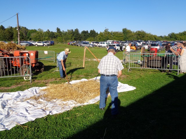 7 Du grain au pain (17) (Small)