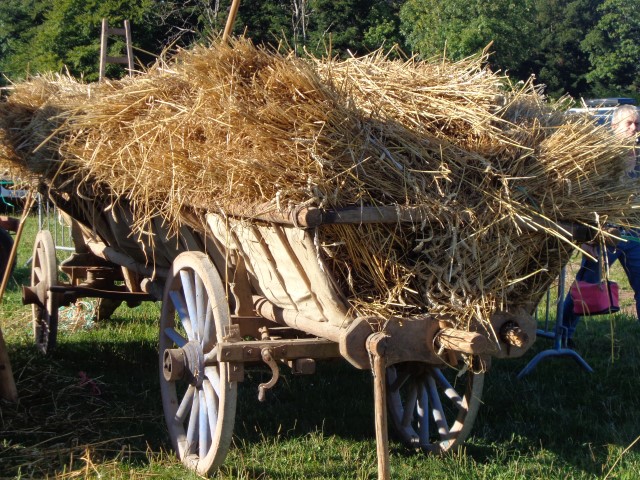 7 Du grain au pain (36) (Small)