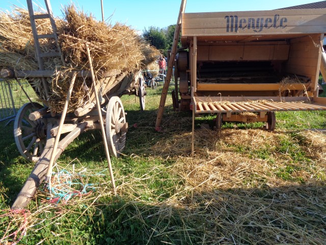 7 Du grain au pain (37) (Small)