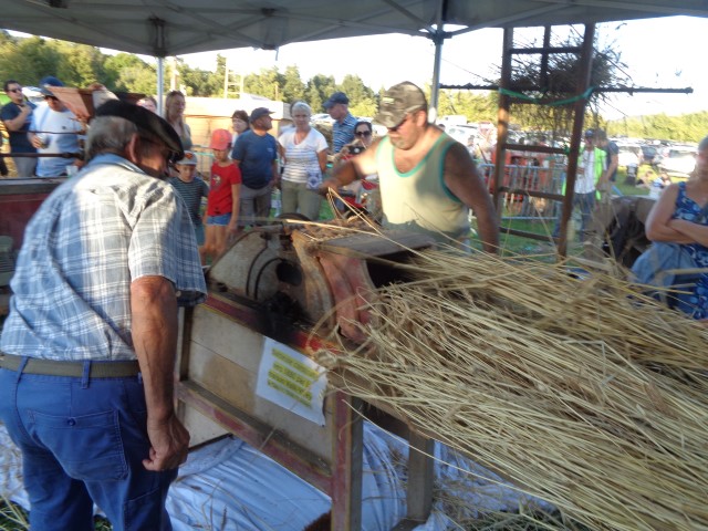 7 Du grain au pain (55) (Small)