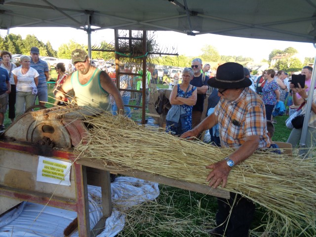 7 Du grain au pain (56) (Small)