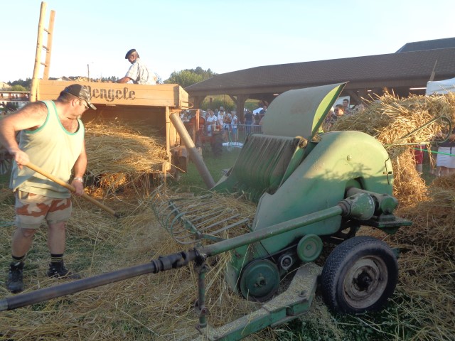 7 Du grain au pain (78) (Small)