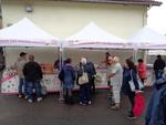 10 marche de cloture 2025 (24) (Small)