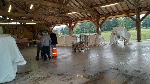 20250830_111327 (Small)