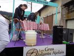 Defile Foire aux andouilles (20) (Small)
