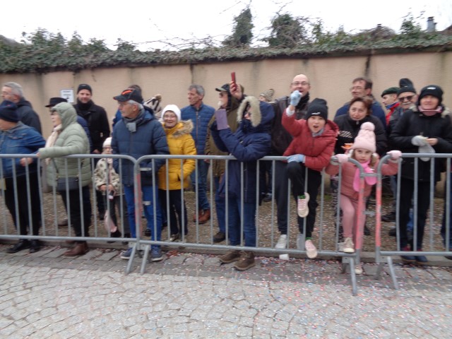 Defile Foire aux andouilles (172) (Small)