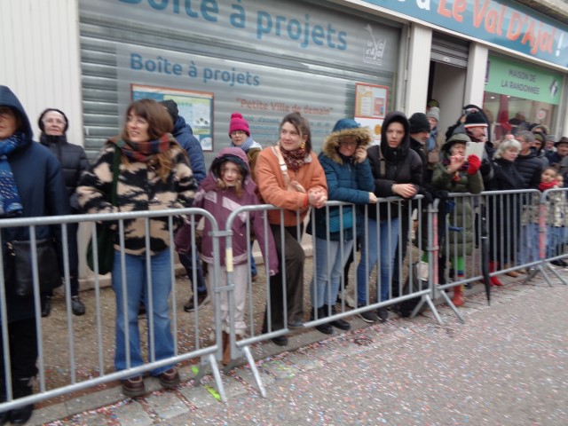 Defile Foire aux andouilles (210) (Small)