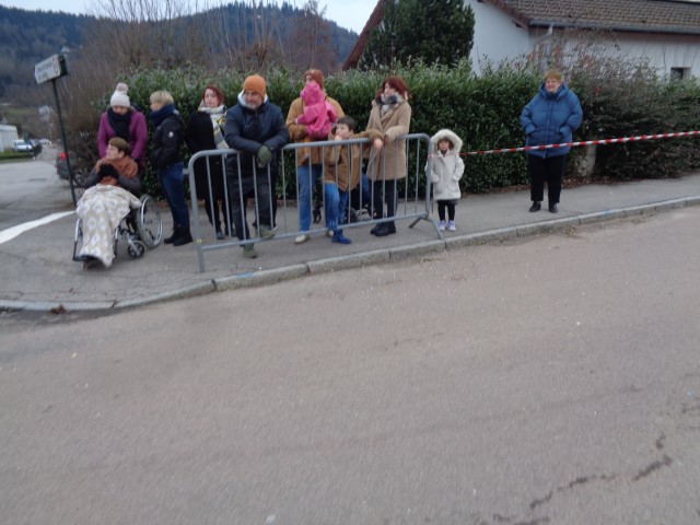 Defile Foire aux andouilles (215) (Small)