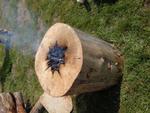 ateriel et brocante Samedi (63) (Small)