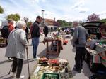 Mat Agricle dimanche AM 2026 (15) (Small)
