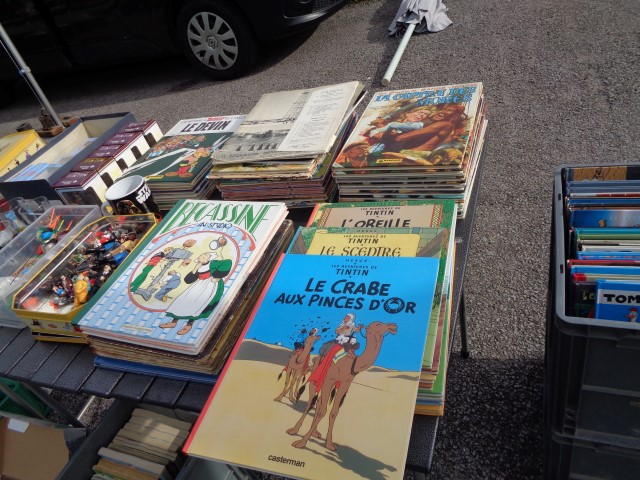 Materiel agricole dimanche matin (5) (Small)