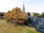 Materiel agricole dimanche matin (65) (Small)