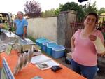 1 Epinette Patois Harmonie (35) (Small)