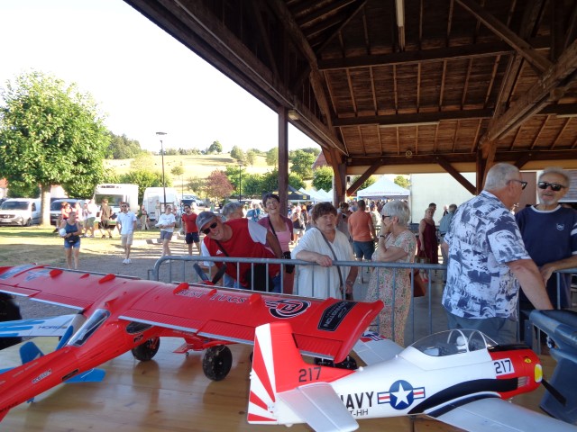 2 Aeromodelisme (23) (Small)