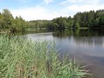 A l'étang de la Moilière, le niveau a baissé mais l'eau y est bien claire Etang privé (1) (Small)