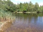 A l'étang de la Moilière, le niveau a baissé mais l'eau y est bien claire Etang privé (3) (Small)
