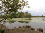 A l Etang de corfaing tout est prêt pour que la littorelle connaisse des jours heureux lorsque le niveau de l'eau remontera (1) 