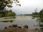 A l Etang de corfaing tout est prêt pour que la littorelle connaisse des jours heureux lorsque le niveau de l'eau remontera (2) 