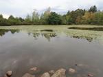 A l Etang de corfaing tout est prêt pour que la littorelle connaisse des jours heureux lorsque le niveau de l'eau remontera (3) 