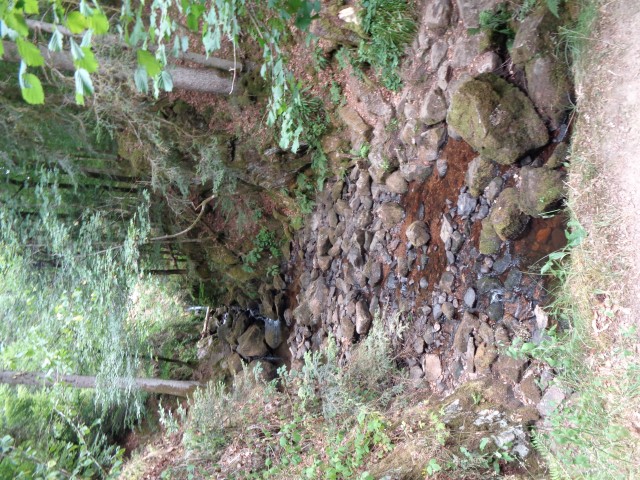L'eau de la cascade est réduite au minimum (4) (Small)
