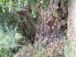 L'eau de la cascade est réduite au minimum (4) (Small)