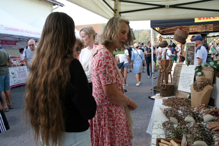 5 Exploitation mecanique foret (17) (Small)