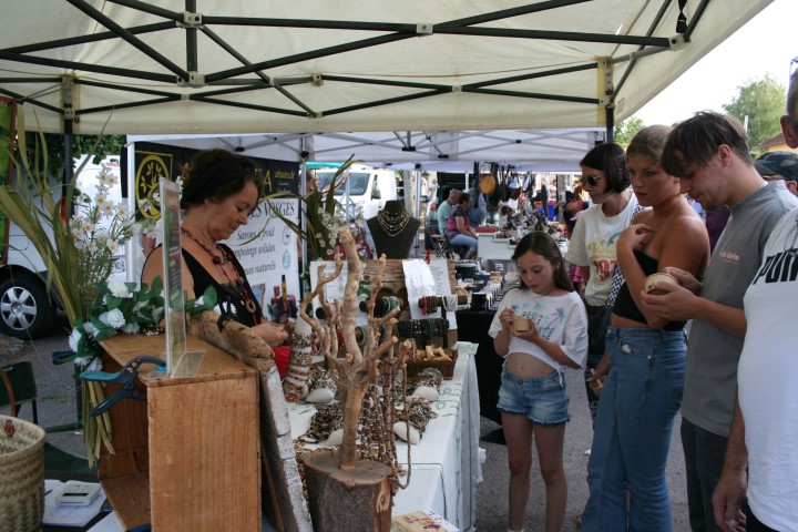 5 Exploitation mecanique foret (52) (Small)