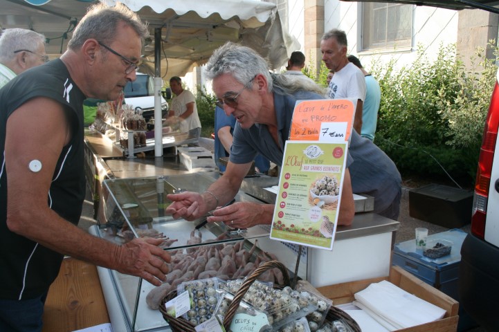 5 Exploitation mecanique foret (68) (Small)
