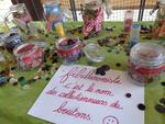 8 Passions et collection 2026 (30) (Small)