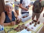 8 Passions et collection 2026 (31) (Small)