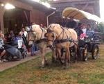 9 Autour du cheval (20) (Small)