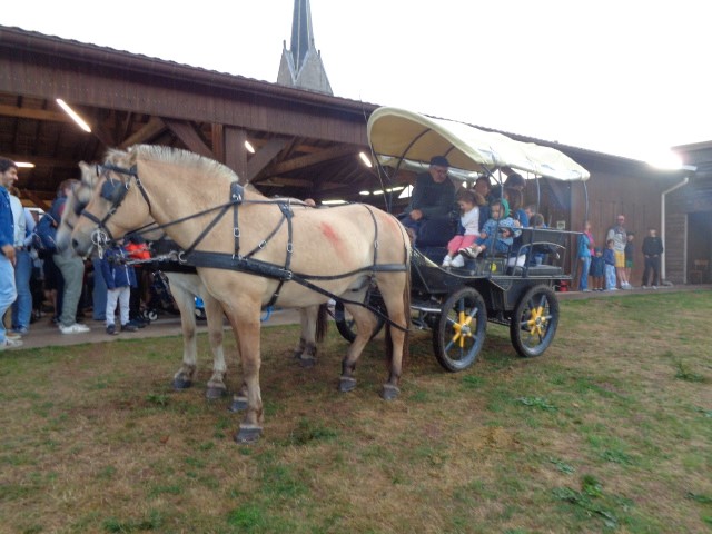 9 Autour du cheval (21) (Small)