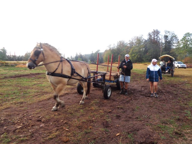 9 Autour du cheval (25) (Small)