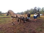 9 Autour du cheval (25) (Small)