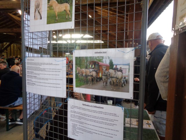 9 Autour du cheval (28) (Small)