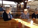 10 Marche de cloture (10) (Small)