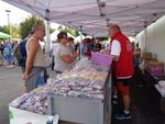 10 Marche de cloture (14) (Small)