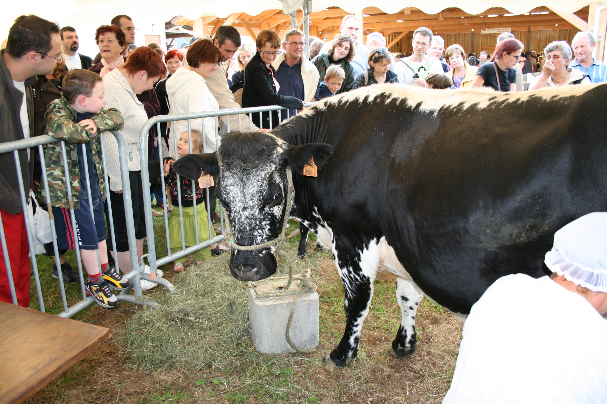 marche d ete 15 aout 2008 045