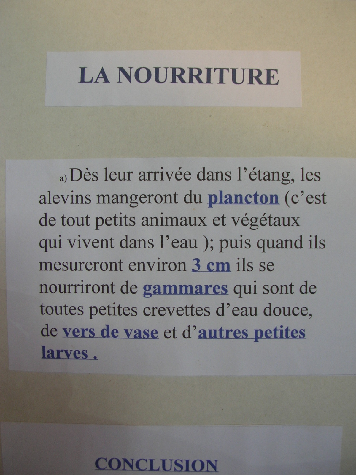 Eau marche d ete 2007 014