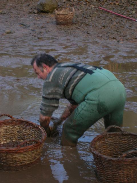 Vidange etang jean pour recuperer les carpes 010