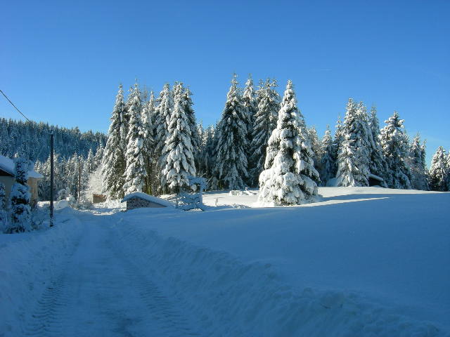hiver 19-12-2012 001