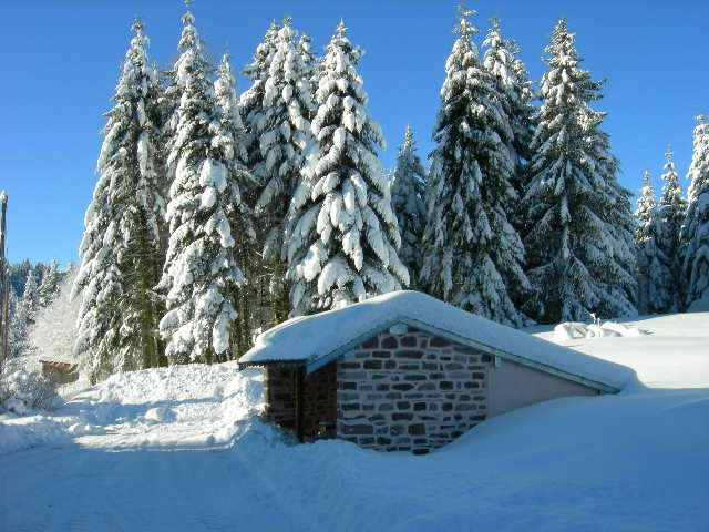 hiver 19-12-2012 004