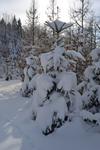 Claudine neige 2013 022