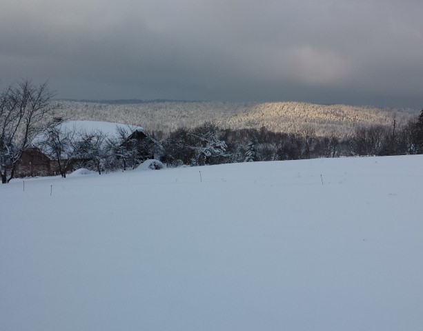 neige 2015 016 (Small)