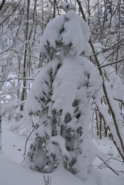 neige 2015 028 (Small)